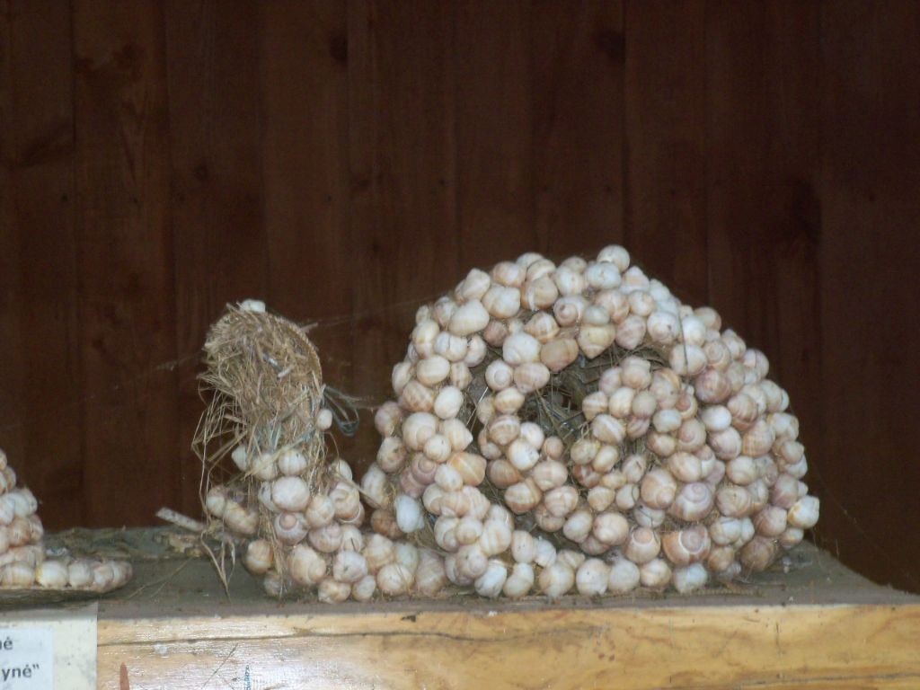 Eine Schnecke aus Schnecken, ja, keine Ahnung warum...