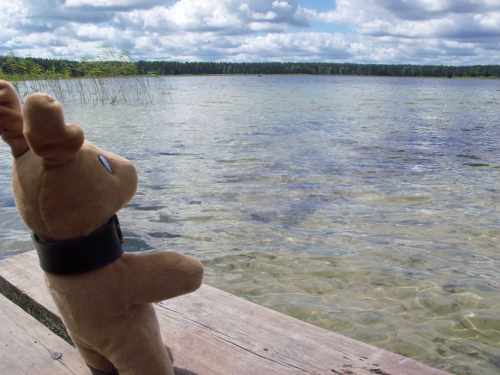 da kann man sehnsuchtsvoll aufs Wasser gucken