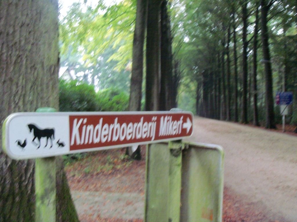 Das war das erste Schild was wir in Bergien gesehen haben und mein Kopf hat es übersetzt mit „Kinderbordell“ -.-